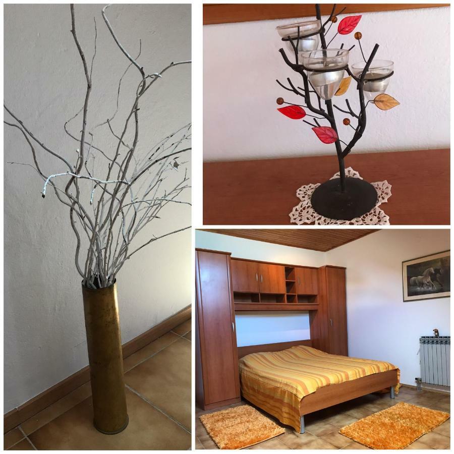 Lidija Apartment Задар Екстериор снимка